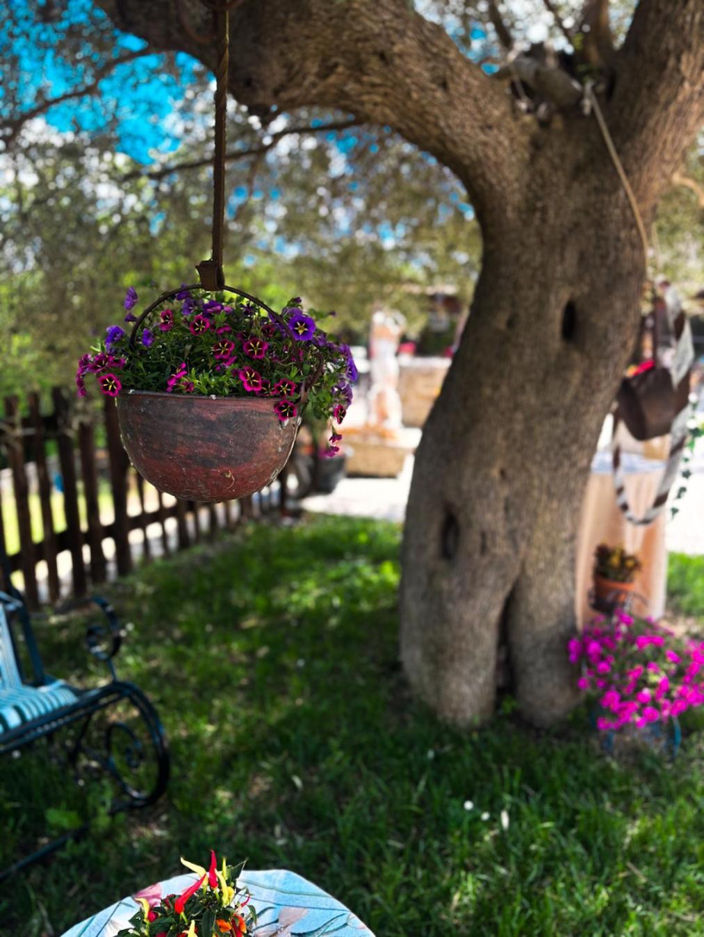 Agriturismo Le Faeta Arpino Exterior foto
